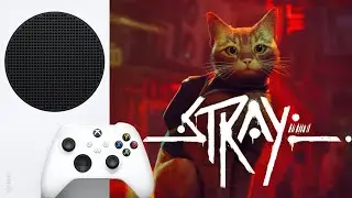 🔴 LIVE/СТРИМ  XBOX SS. Stray. Мяу! #1
