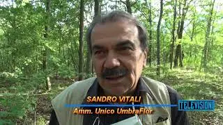 Umbraflor: apertura della stagione di raccolta tartufo 2020