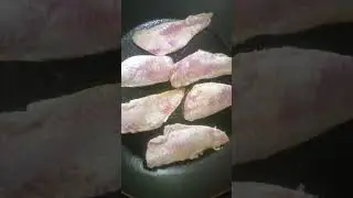 filet de rouget en plein Christian