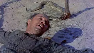 Shotgun (1955)