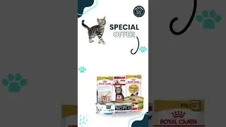 PetzSee - Premier Online Cat Food Brand #catfood  #Petzsee #healthycats