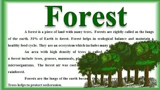 Essay on Forest in English | Importance of forest | Forest essay in English | Forest essay writing