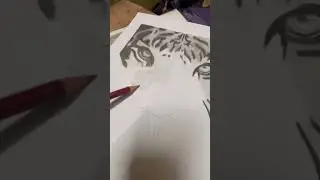 Tiger drawing ✍️ 🐅 part 7 #art #artdrawing #tiger #sketch #tiger drawing
