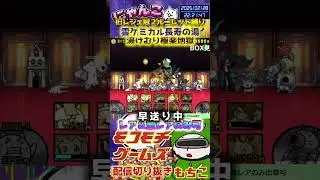 [Battle Cats] #521 Old Legendary Crown 2! Roulette Challenge! Cloudy Hot Springs! Steamy Paradise...
