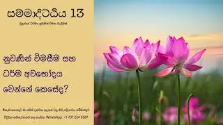 නුවණින් විමසීම සහ ධර්ම අවභෝදය වෙන්නේ කෙසේද? Samma Ditti -13