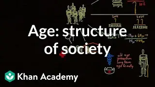Demographic structure of society - age | Society and Culture | MCAT | Khan Academy