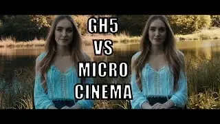GH5 против Micro Cinema Camera
