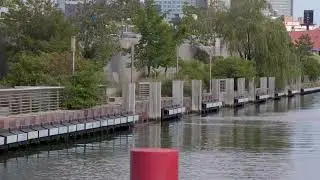 Newtown Creek Nature Walk