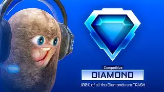 SSL Potato Coaches Diamonds....