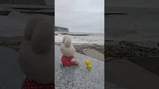 15.02.26 +11⛅🌊+9 шторм в Дивноморске