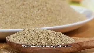 Zhunong Rice Biotech Ignites AAES2025 with Functional Rice Ingredients