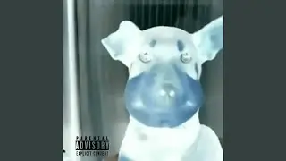 Worldwide drill (punks flip) (feat. Pan, Astrotokyo, TYZ, Raidzx, Polus!, Polussy, I AM POLUS,...