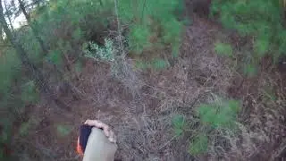 Short rabbit hunt