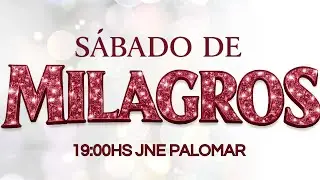 REUNION ONLINE  31/1/2026  JNE PALOMAR