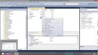 Crear Conexion Vb.net - Sql Server  (CRUD - Mantenimiento Visual Studio 1/6)