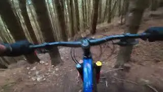 the underdog (steep) caberston forest (golfie) innerleithen Scotland