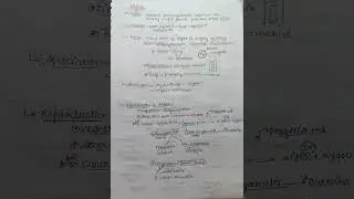 Algae short notes #neet #BSC#Biology #imp #short notes