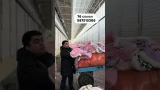 #доставкапомиру #automobile #доставкаспб #humor #спортивныедобавки #rek #лизинг