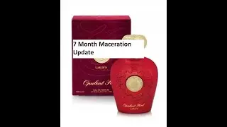 7 Month Maceration Update on Opulent Red EDP by Lattafa | Fragrances #268