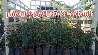 நர்சரி க்கு ரேஸ் டெலிவரி/ #agnursery