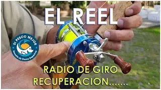 EL REEEL Y EL RADIO DE GIRO - ENTERATE ACA