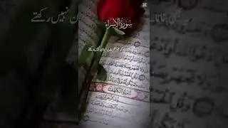 Quran with translation on a solution of all problem listen and feel better #quran #youtubeshorts