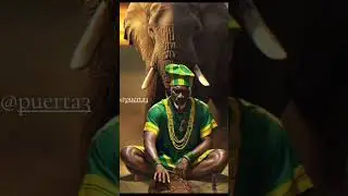 #babalawo #ifa #orishas #babalao #santeria #orula #orumila #yoruba #ashe #iboru 