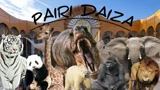 PAIRI DAIZA-Best Zoo In Europe/A Complete Overview of the Zoo 2025