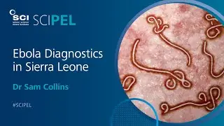 Ebola Diagnostics in Sierra Leone | Dr Sam Collins | #SCIPEL 2015 | SCI Society of Chemical Industry