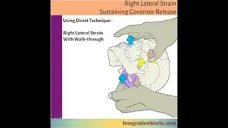 SGR   Left Lateral Strain using walkthrough