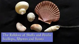 The Folklore of Shells and Pearls: Scallops, Rhymes and Saints