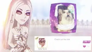 MSP UPDATES CUSTOM DESIGNS + NEW VIP PACKAGE?