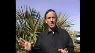 iMMACC! Internet Marketing Supermarket!