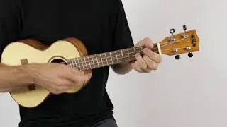 Kala KA-FMTG Tenor Ukulele | The Ukebug
