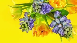 2016 Spring flower collection