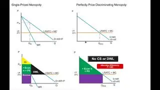 AP Micro Notes - Unit 4.3 (price discrimination)