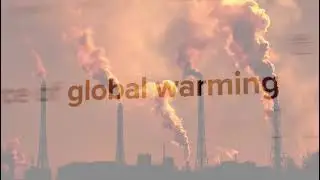 Sector Spotlight: Environmental Sustainability