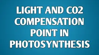 light compensation point graph| co2 compensation point c3 Vs c4| photosynthesis| CSIR NET|
