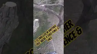 Cottonwood tree wind failure over shed #climbing