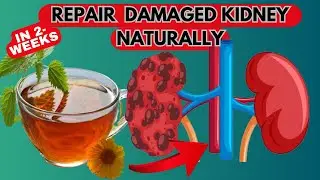 Natural Remedy for Kidney Health: Manage CKD Naturally!