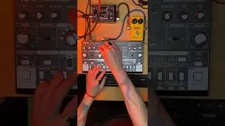 Behringer TD-3 + MXR Distortion + = Acid Heat 🔥
