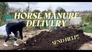 Allotment Diaries | What a Load of Sh…Horse Manure