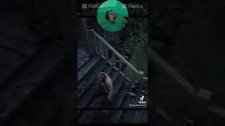 Streamer Got Caught Committing Animal Abuse #shorts #animals #rdr2
