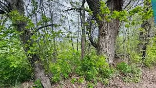 1.65 Acres!!