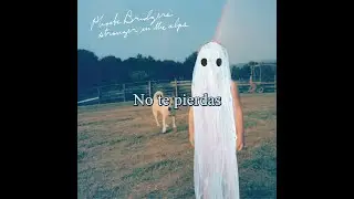 Scott Street - Phoebe Bridgers (Sub. Español)