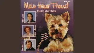 Mein kleiner Pudel
