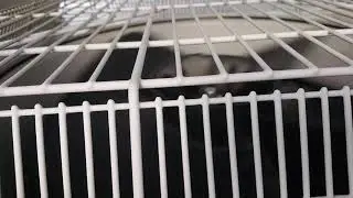 縦吹き室外機