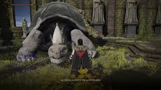 Elden Ring meeting the turtle pope