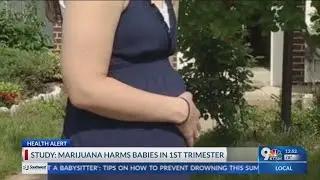 Marijuana harms babies in the 1st trimester.