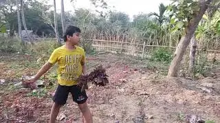 ମୋ ଭାଇର ଶାଗ ତୋଳା 🤣🤣🤣🤣🤣🤣//Guruprasad Dash